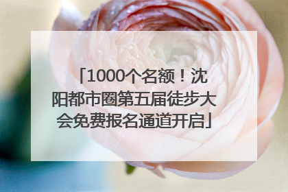1000个名额！沈阳都市圈第五届徒步大会免费报名通道开启