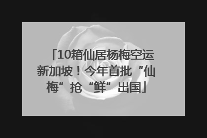 10箱仙居杨梅空运新加坡！今年首批“仙梅”抢“鲜”出国