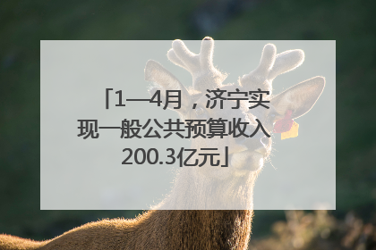 1—4月，济宁实现一般公共预算收入200.3亿元