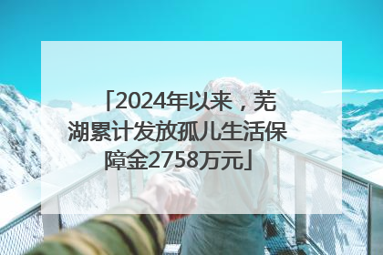 2024年以来，芜湖累计发放孤儿生活保障金2758万元