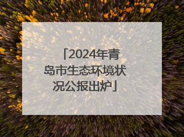 2024年青岛市生态环境状况公报出炉