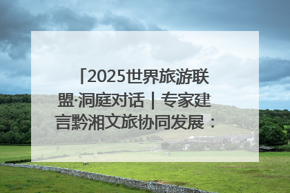 2025世界旅游联盟·洞庭对话｜专家建言黔湘文旅协同发展：聚焦产品稀缺性 深化区域经验共享
