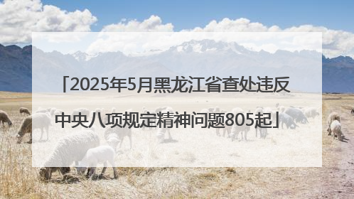 2025年5月黑龙江省查处违反中央八项规定精神问题805起