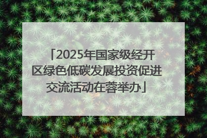 2025年国家级经开区绿色低碳发展投资促进交流活动在蓉举办