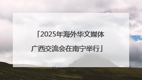 2025年海外华文媒体广西交流会在南宁举行