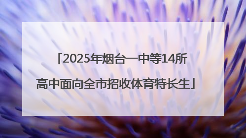 2025年烟台一中等14所高中面向全市招收体育特长生