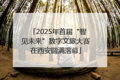 2025年首届“智见未来”数字文旅大赛在西安圆满落幕