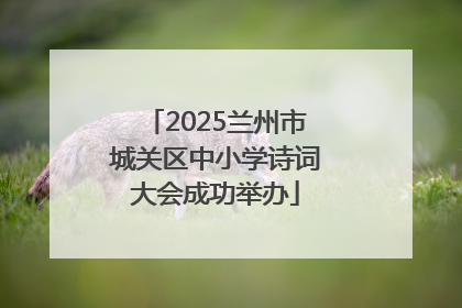 2025兰州市城关区中小学诗词大会成功举办