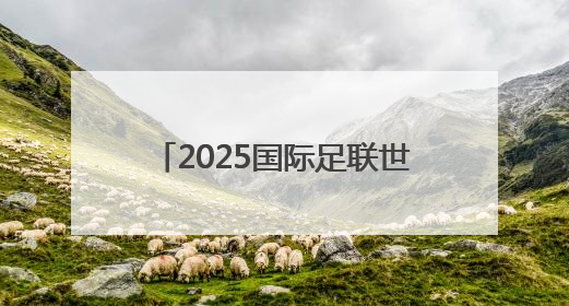 2025国际足联世俱杯开赛在即，山东元素期待精彩亮相