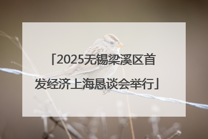 2025无锡梁溪区首发经济上海恳谈会举行