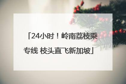 24小时！岭南荔枝乘专线 枝头直飞新加坡