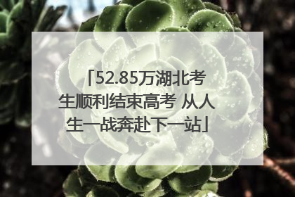 52.85万湖北考生顺利结束高考 从人生一战奔赴下一站