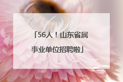 56人！山东省属事业单位招聘啦