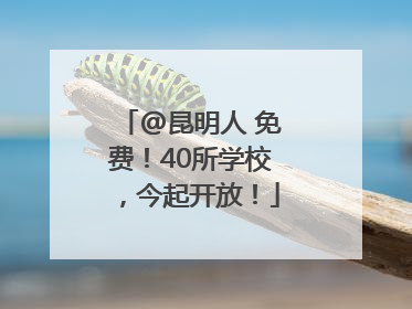 @昆明人 免费！40所学校，今起开放！