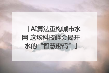 AI算法重构城市水网 这场科技峰会揭开水的“智慧密码”