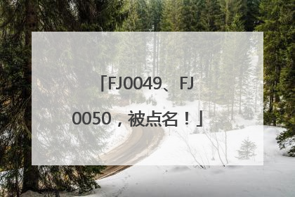 FJ0049、FJ0050，被点名！