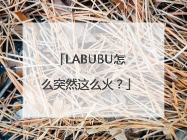 LABUBU怎么突然这么火？