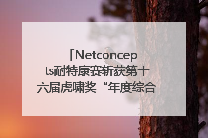 Netconcepts耐特康赛斩获第十六届虎啸奖“年度综合服务商”大奖