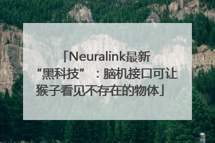 Neuralink最新“黑科技”：脑机接口可让猴子看见不存在的物体