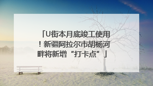 U街本月底竣工使用！新疆阿拉尔市胡杨河畔将新增“打卡点”